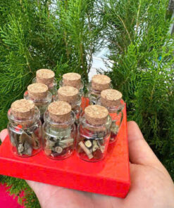 LỌ 12 LOẠI GAI MINI KÈM HÙNG HOÀNG-THẦN SA TIỆN MANG THEO BÊN MÌNH . TRÁNH TÀ ĐUỔI VONG