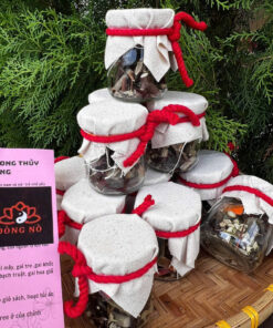 LỌ 12 LOẠI GAI KÈM HÙNG HOÀNG-CHU SA DÙNG DỂ TREO TRÁNH VONG VÍA